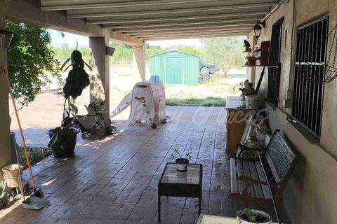 Landejendom i Caudete, Albacete, Caudete - € 165.000 | Ref: SF0576 - foto 4